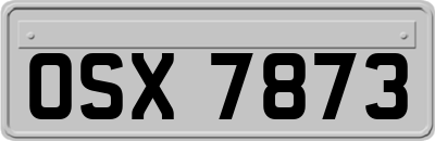 OSX7873