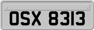 OSX8313