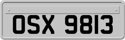 OSX9813