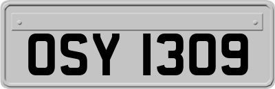 OSY1309