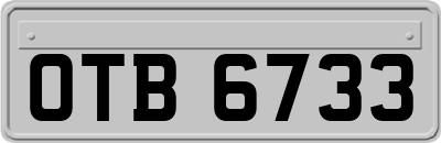 OTB6733