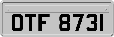 OTF8731