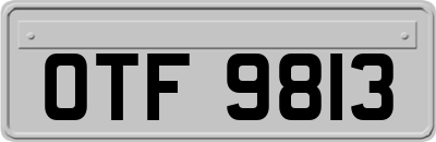 OTF9813
