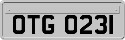OTG0231