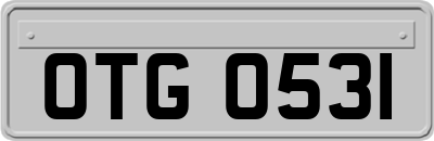 OTG0531