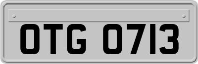 OTG0713