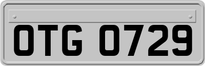 OTG0729