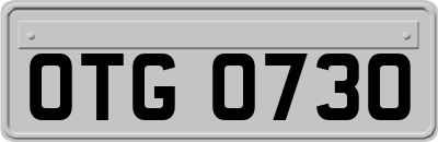 OTG0730