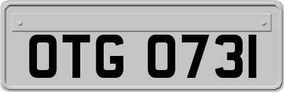 OTG0731