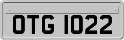 OTG1022