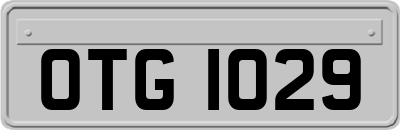 OTG1029