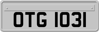 OTG1031