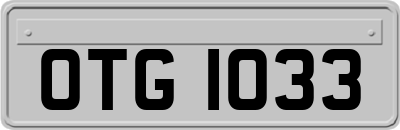 OTG1033