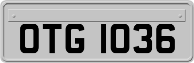 OTG1036