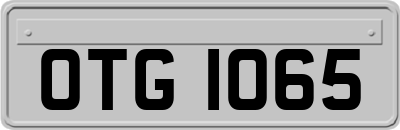 OTG1065