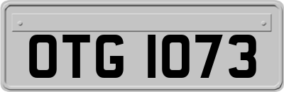 OTG1073