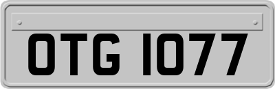 OTG1077