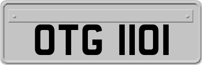 OTG1101