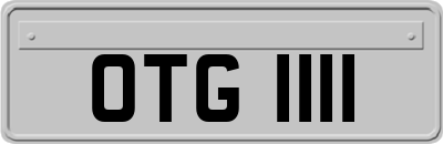 OTG1111