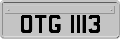 OTG1113