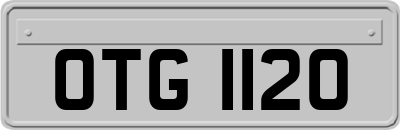 OTG1120