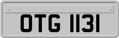 OTG1131