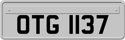 OTG1137