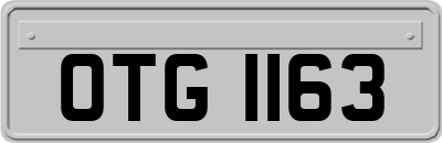 OTG1163