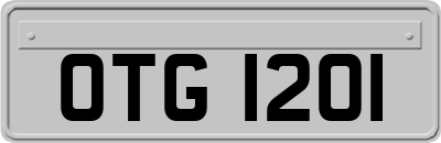 OTG1201