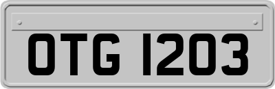 OTG1203