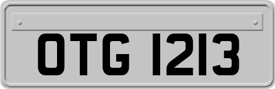 OTG1213