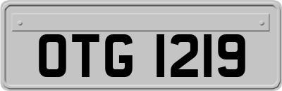 OTG1219