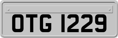OTG1229