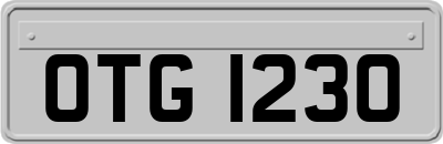 OTG1230