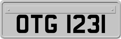 OTG1231