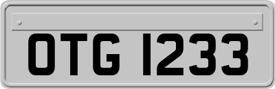 OTG1233