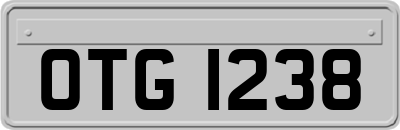 OTG1238