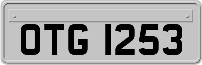 OTG1253
