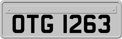 OTG1263