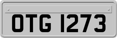 OTG1273