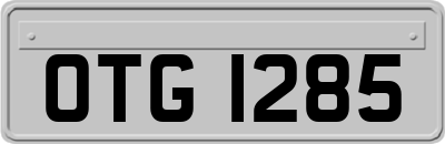 OTG1285