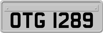 OTG1289