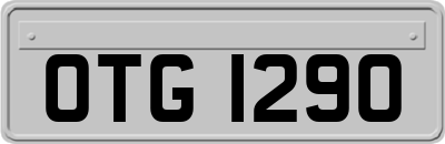 OTG1290