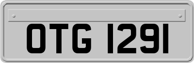 OTG1291