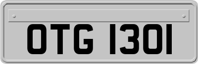 OTG1301