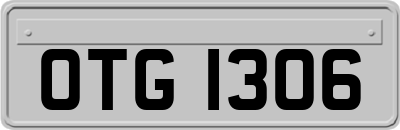 OTG1306