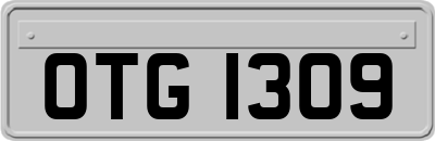 OTG1309