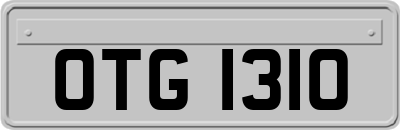 OTG1310