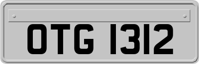 OTG1312