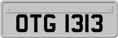 OTG1313